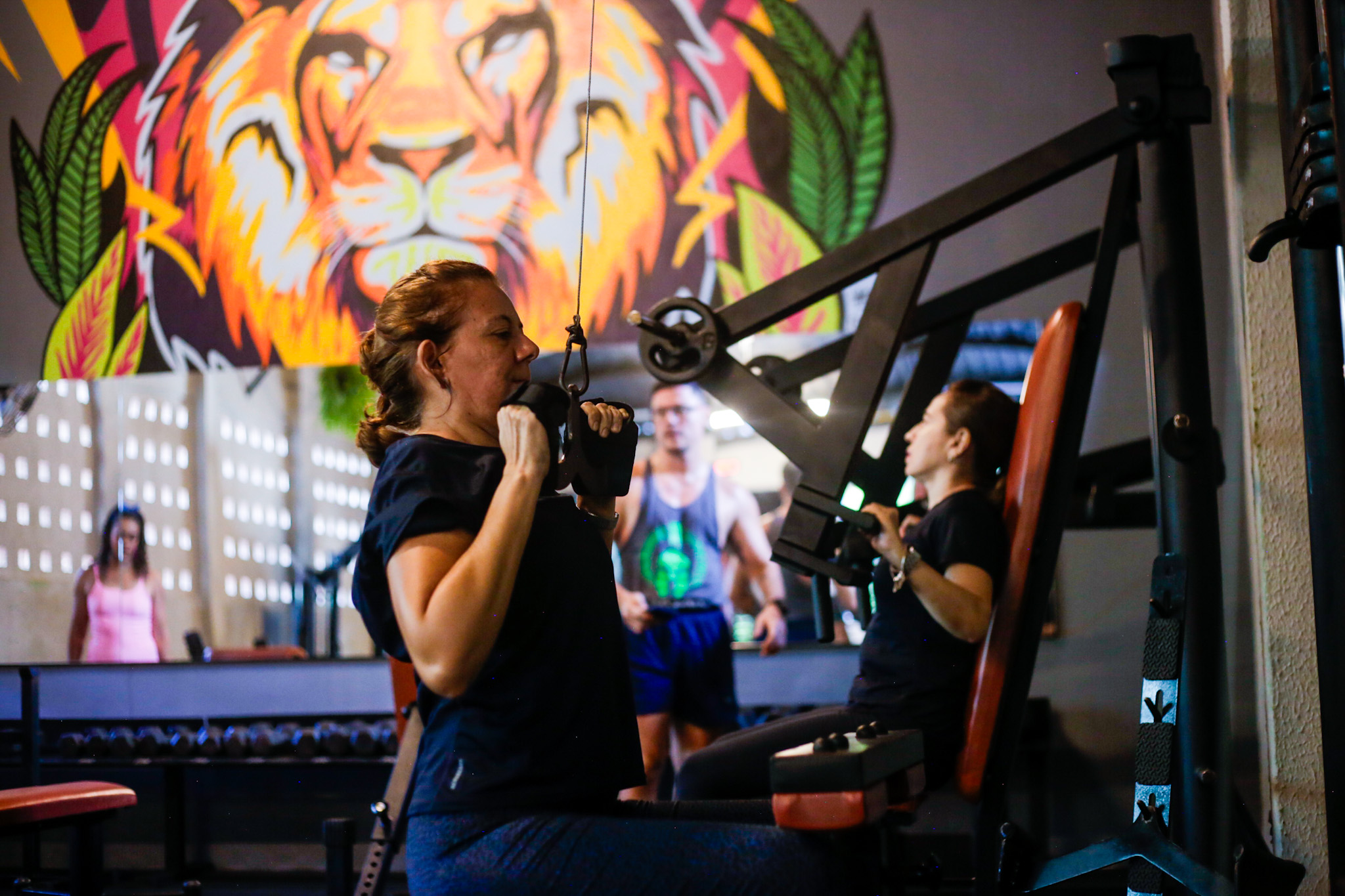 Resultados dos alunos da Iron Jungle